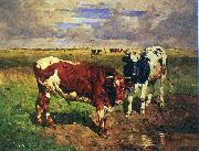 Young bulls at a watering place unknow artist